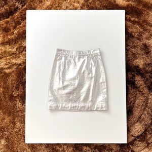 Proenza Schouler skirt